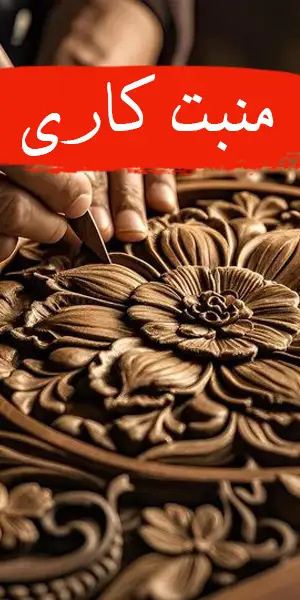 منبت کاری ارومیه